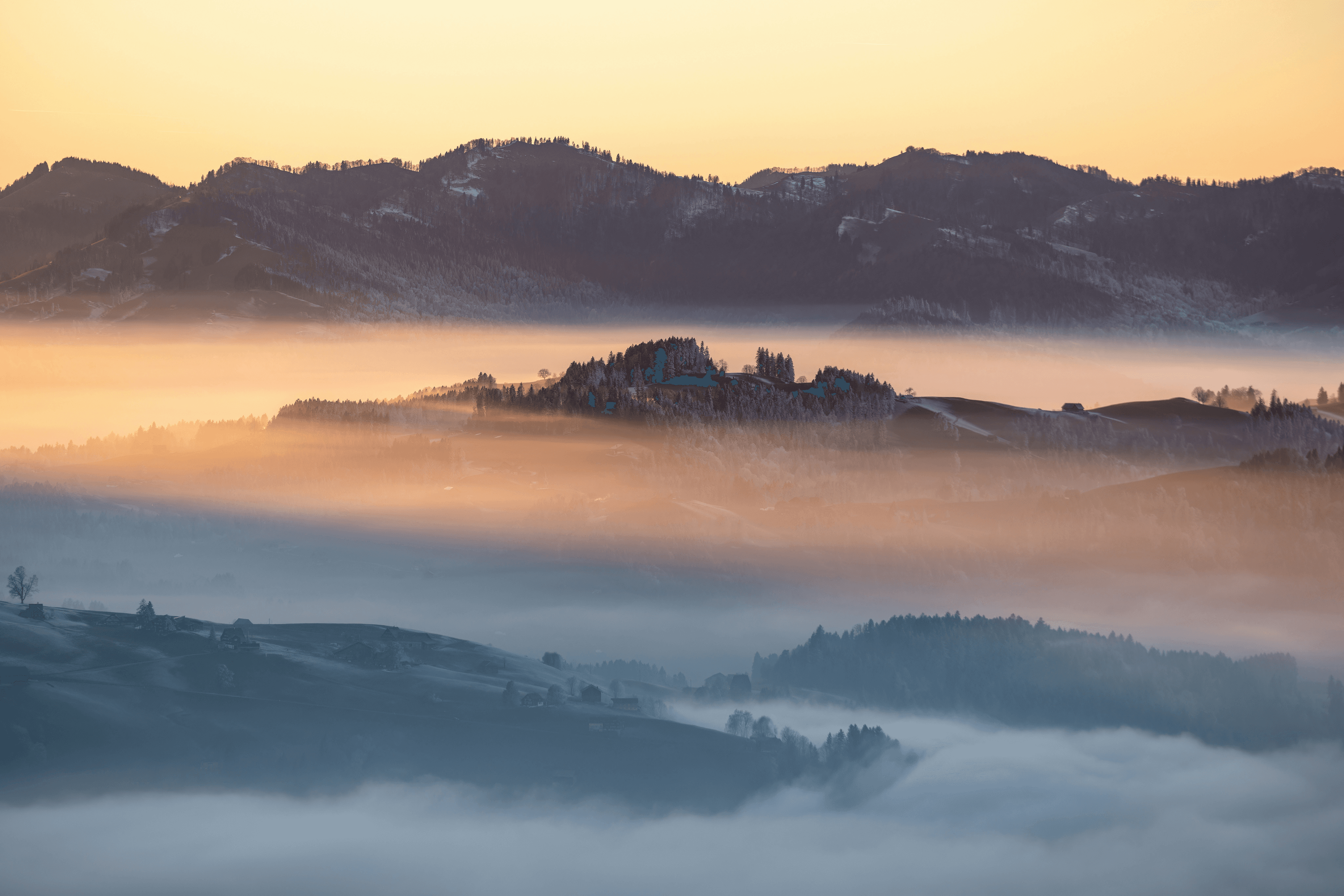Landscape in fog